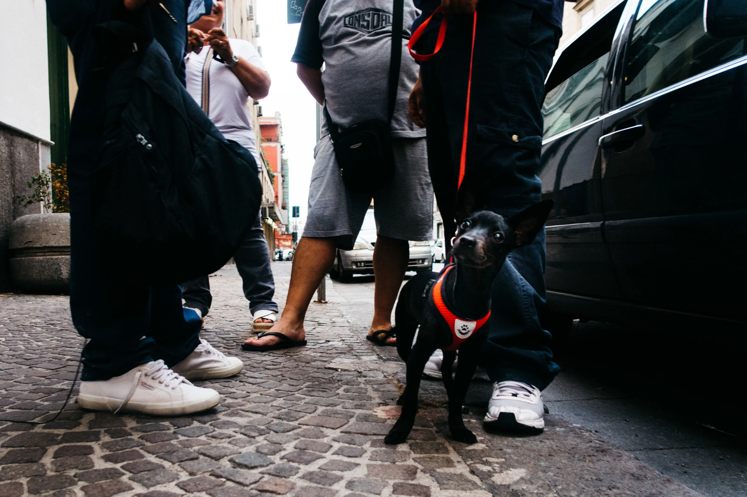 naples-0732.jpg