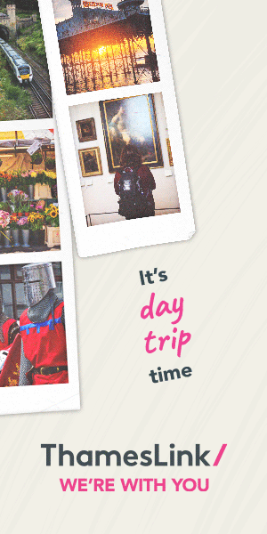 Thameslink - Seniors - 300x600 banner ad