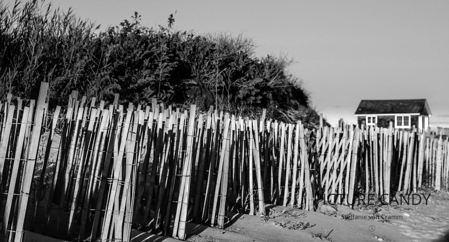 Classic Montauk, 2015