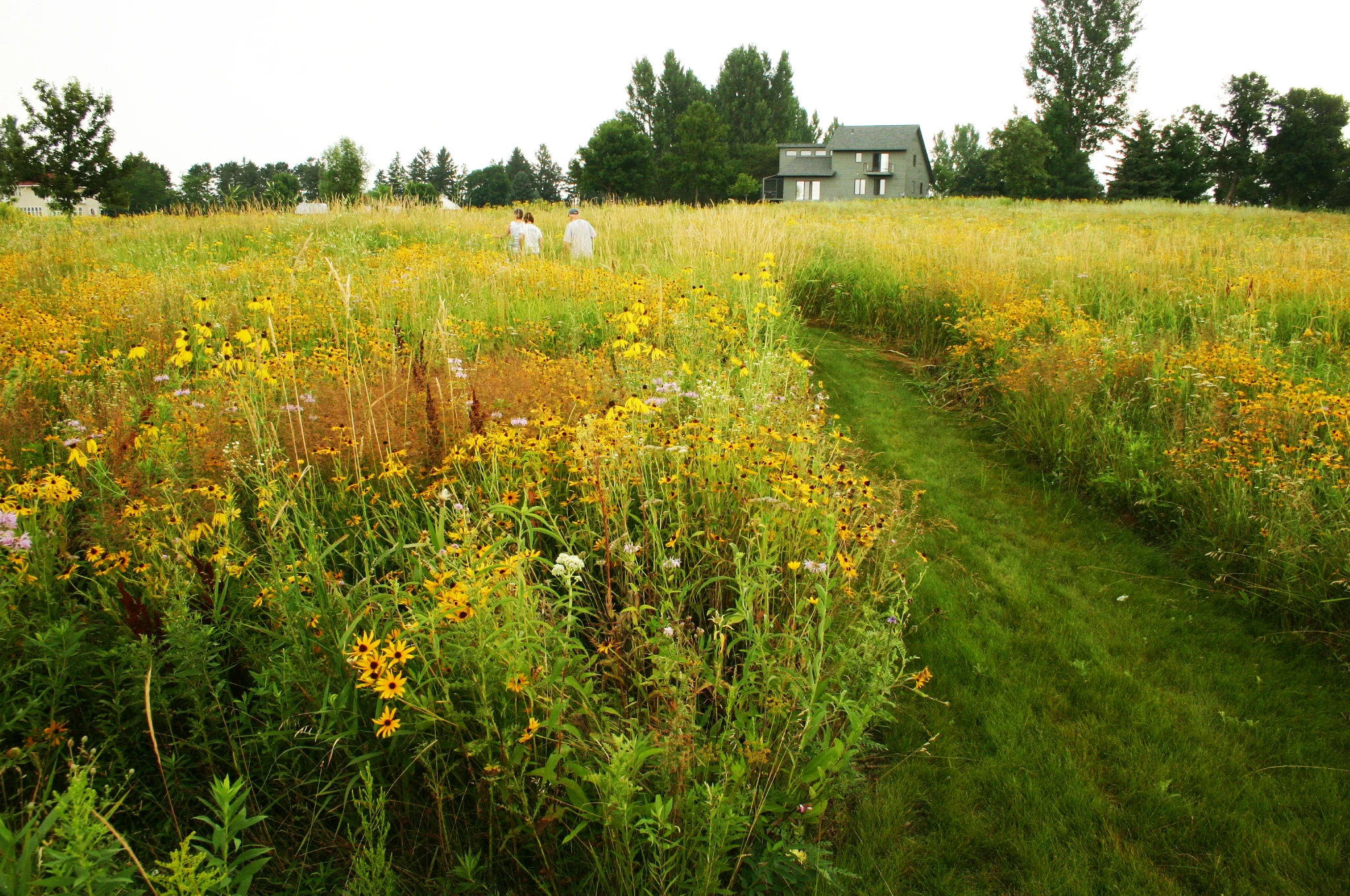 steves house with path.JPG