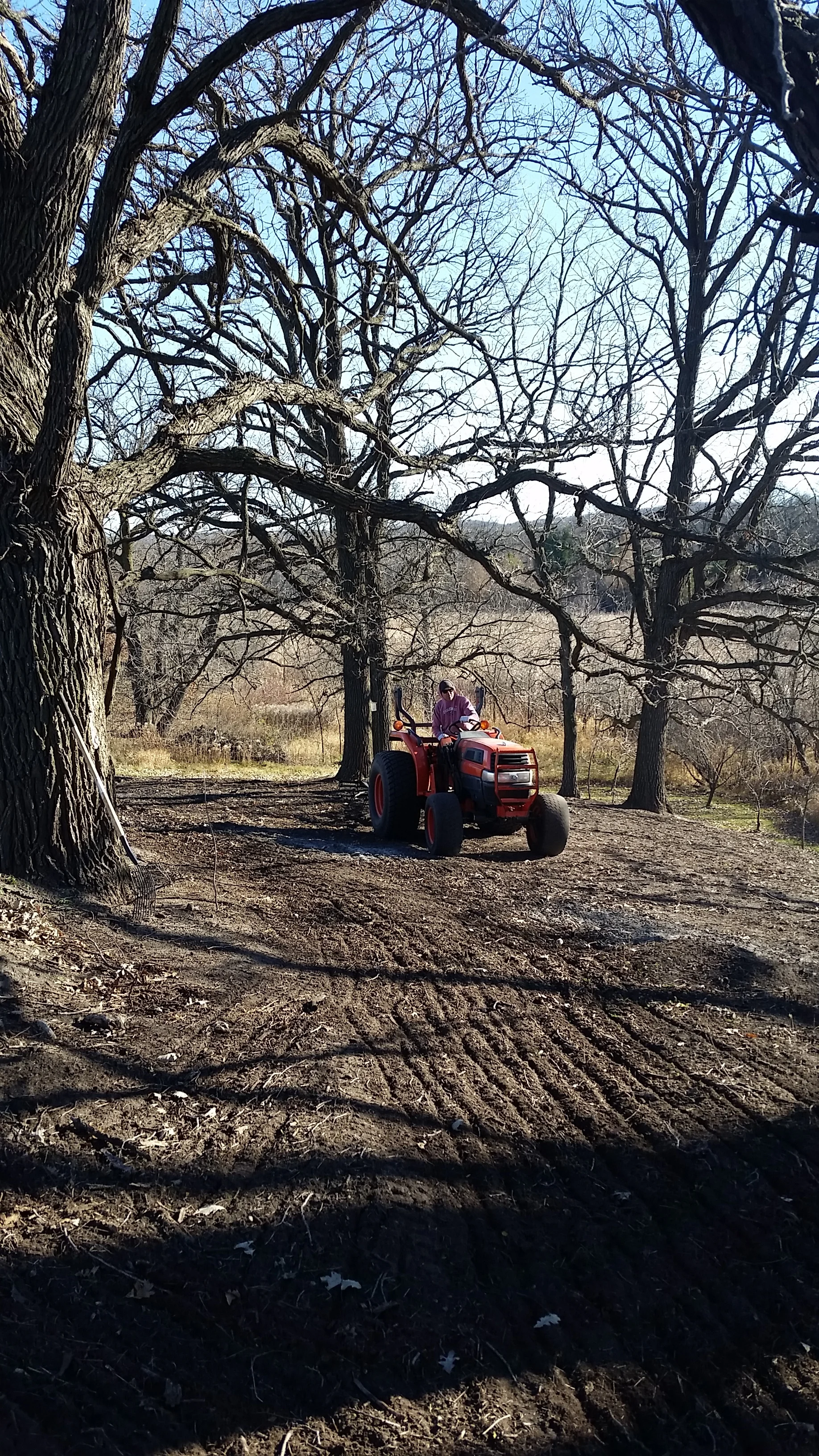 Preparing the soil for seeding in an Oak Savanna such as this takes time. We sprayed this plot the year before, burned it the following spring, sprayed two more times during the course of the summer, and burned the debris in the fall before seeding …