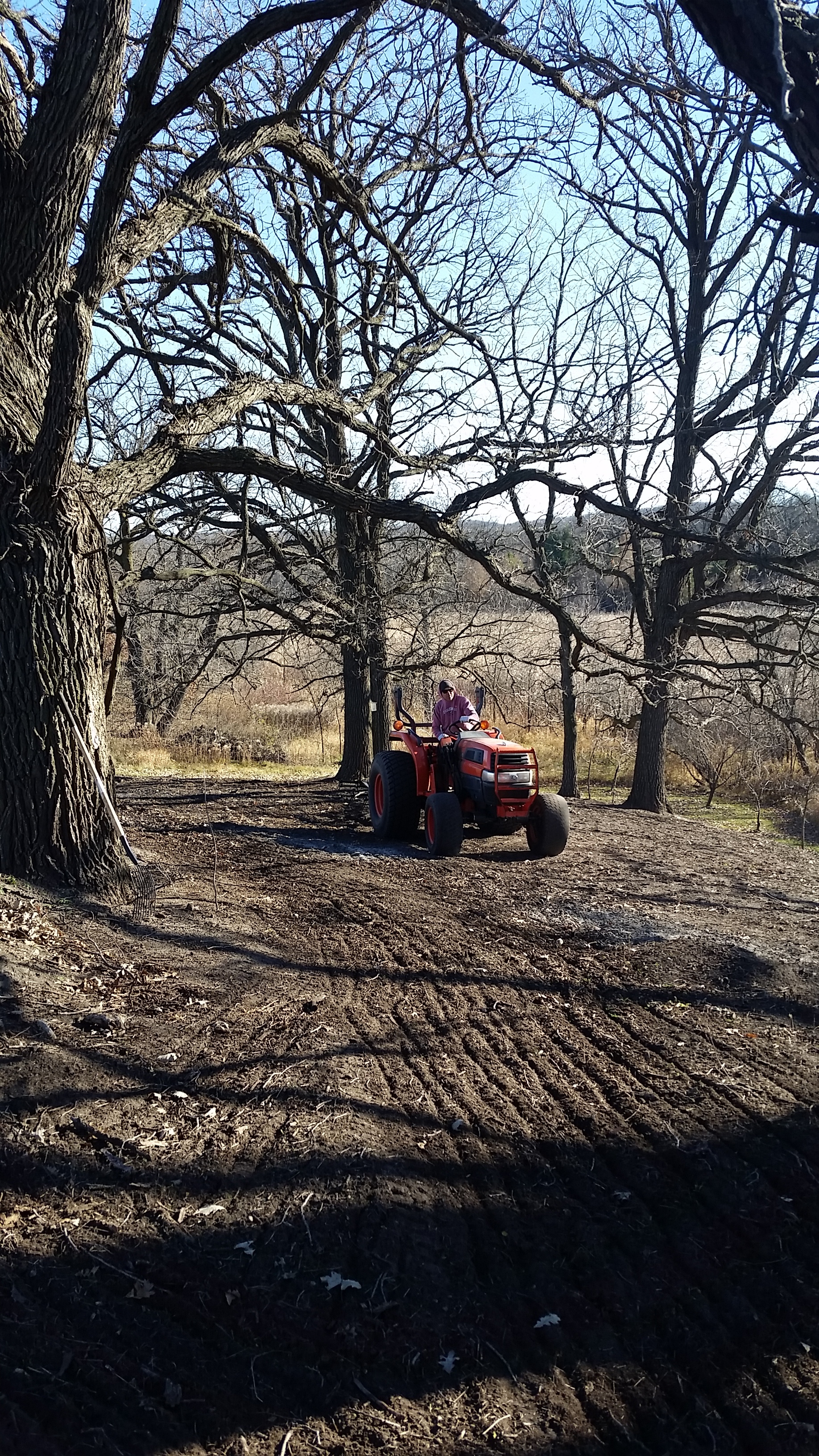 Preparing the soil for seeding in an Oak Savanna such as this takes time. We sprayed this plot the year before, burned it the following spring, sprayed two more times during the course of the summer, and burned the debris in the fall before seeding it. 