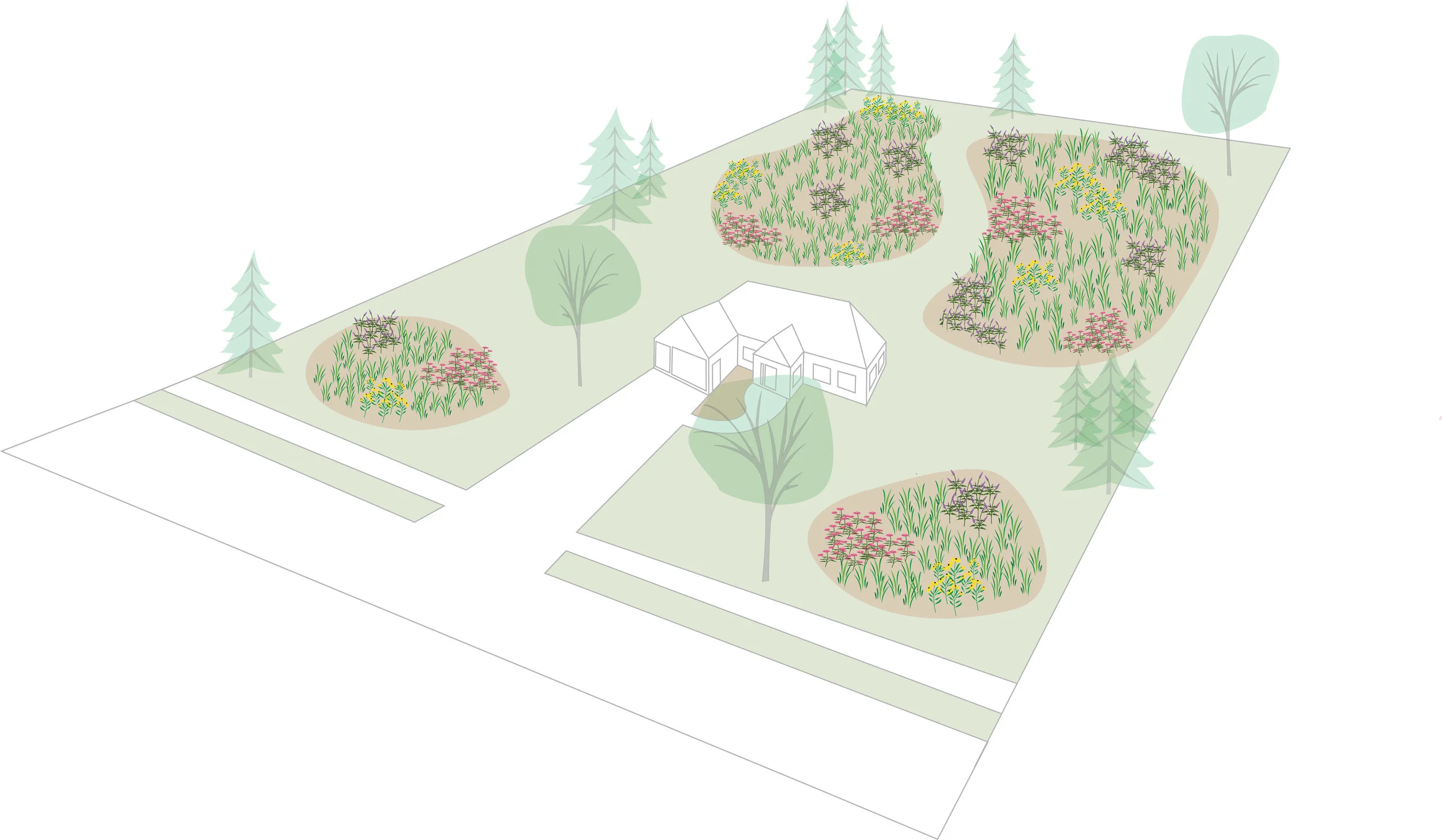Most turf grasses are high maintenance--requiring watering, fertilizing, herbicides, and mowing. Despite this, most yards are seeded with turf grass. Prairie, or pollinator, plots give us a wonderful alternative to the exclusively turf grass landscape. Illustration by Steve Heymans.