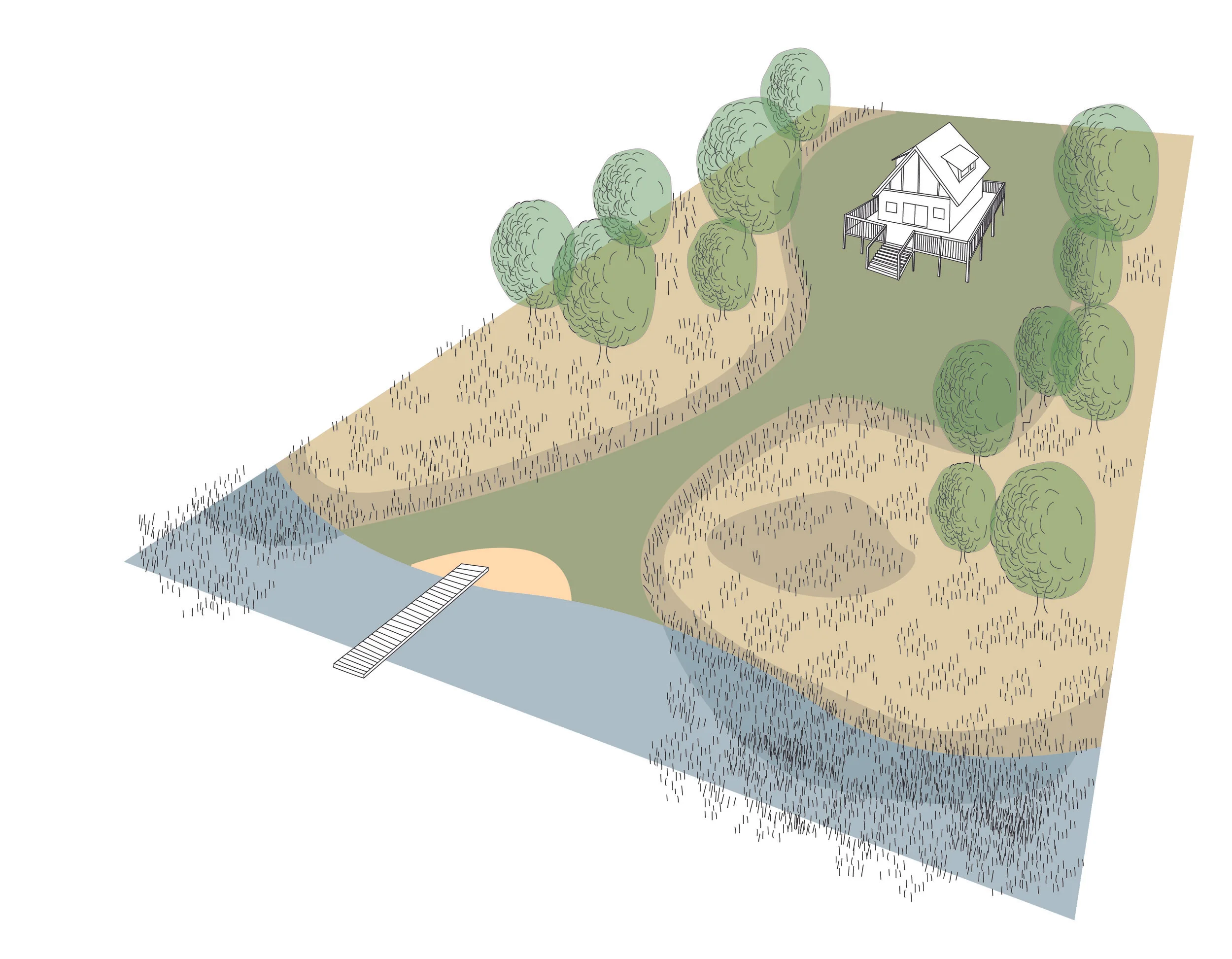 These buffer zones reduce mowing and lawn maintenance, filter contaminants, provide habitat, and stabilize the soil both upland and along the water's edge. Illustration by Steve Heymans.