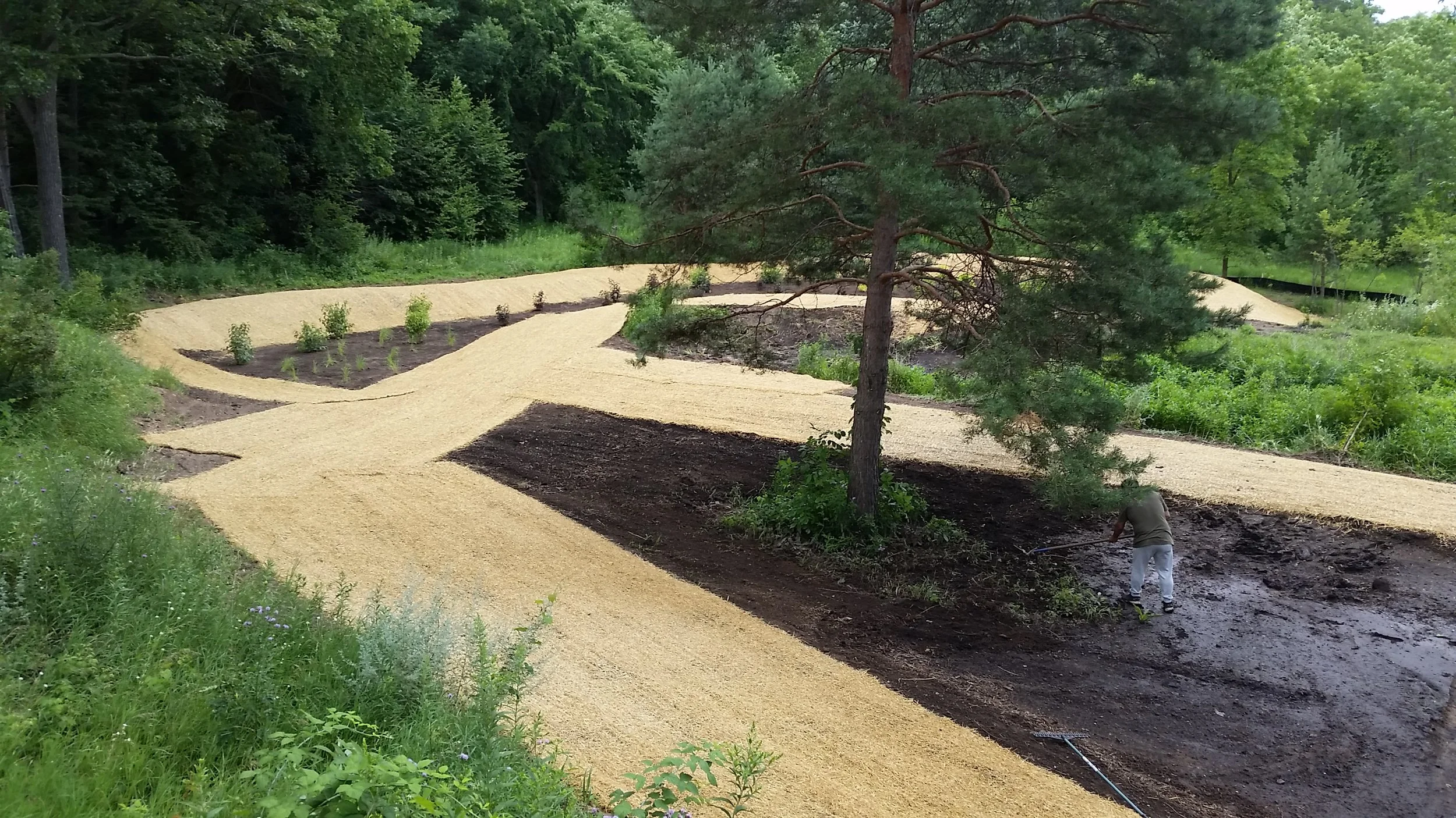 On this project, we seeded natives into these berms on the edges of ponds designed to hold and filter water before it runs into the lake. 