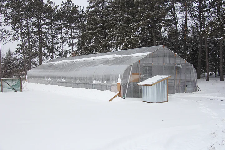 One of the challenges of growing plants in a greenhouse in Central Minnesota is how to deal with snow. If this were a hoop house, meaning a greenhouse with just a plastic sheet cover, we would have to be running the heater so that the snow would melt and run off. Without the heat on, the snow might accumulate and collapse the roof of a hoop house. Because this is a polycarbonate greenhouse, it can withstand a lot of snow before it would collapse, which means we don't have to run the heater. Polycarbonate is a thick plastic material, much like plexiglass, but has channels that run through it like corrugated cardboard. These channels give it strength and add insulation value. I took this photo on Sunday, April 15, during a break in the 3-day snow storm. The temperature outside was around 32 degrees. But even though there was dense cloud cover, the temperature in the greenhouse was about 50 degrees, even without running a heater. Those temps inside the greenhouse had the effect of melting the snow that accumulated on the roof. 