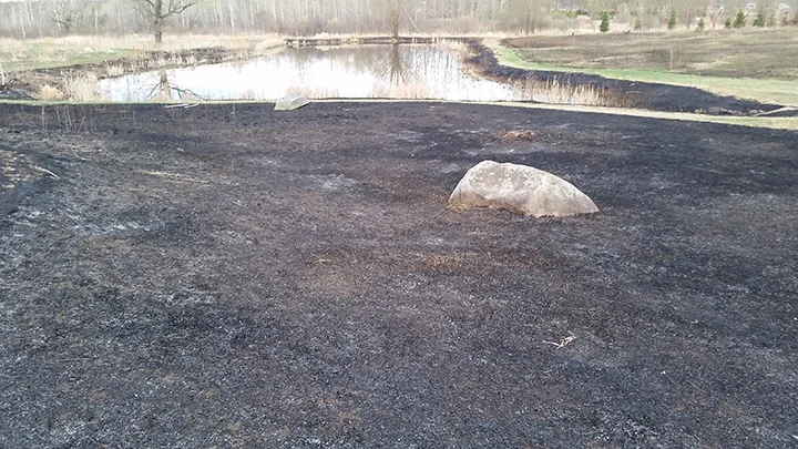 We burn the prairie plots around the farm, and the prairies we have installed for customers. The burns enhance the soil, set back the weeds, and promote growth of the native plants.