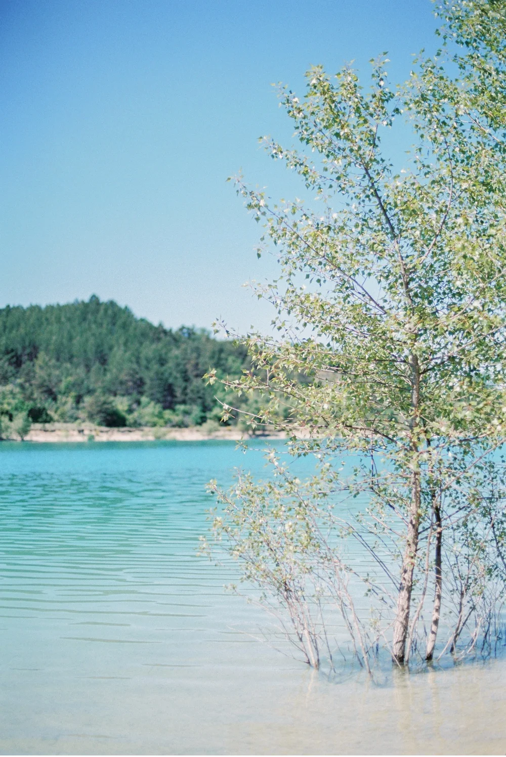 Provence_France_WeddingPhotographer©MadalinaSheldon_0015.jpg