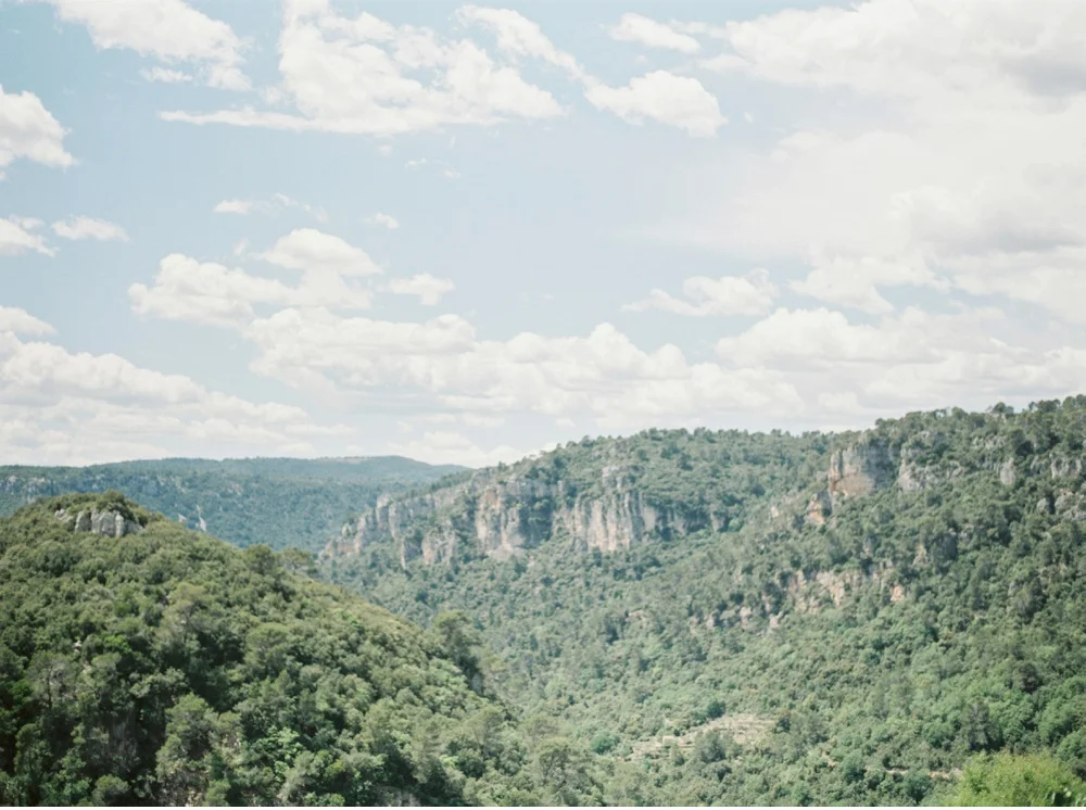 Provence_France_WeddingPhotographer©MadalinaSheldon_0040.jpg
