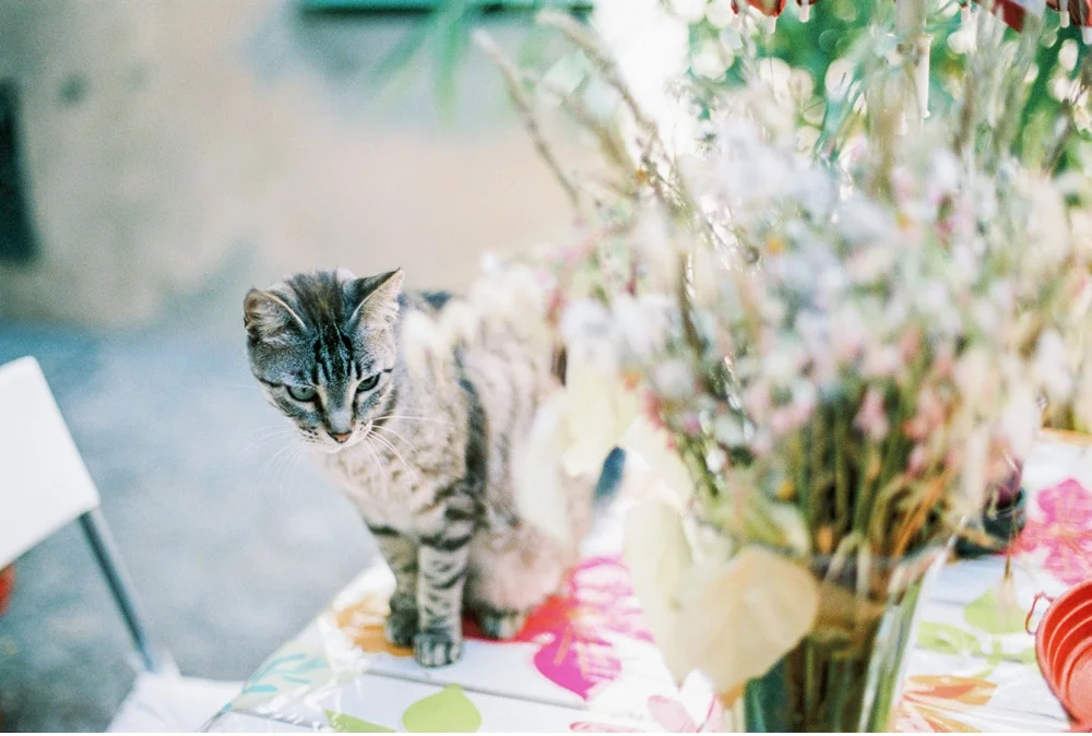 Provence_France_WeddingPhotographer©MadalinaSheldon_0062.jpg