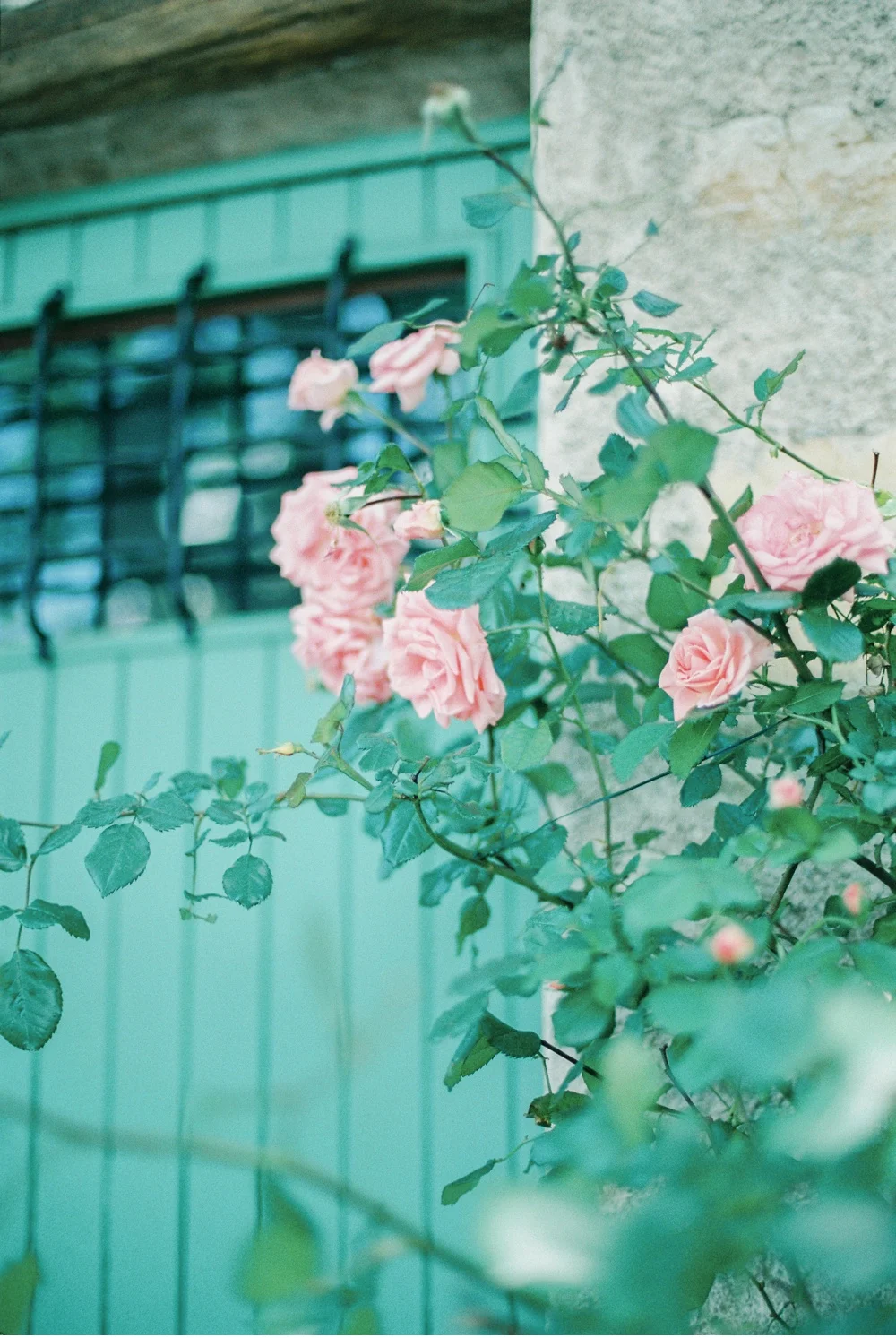 Provence_France_WeddingPhotographer©MadalinaSheldon_0067.jpg
