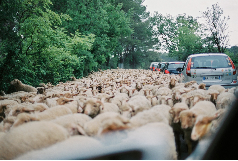 Provence_France_WeddingPhotographer©MadalinaSheldon_0075.jpg