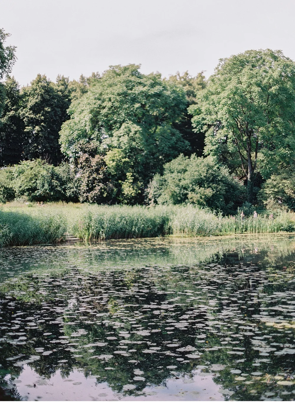 Classy_Norwegian_Wedding_WeddingPhotographer©MadalinaSheldon_0012.jpg
