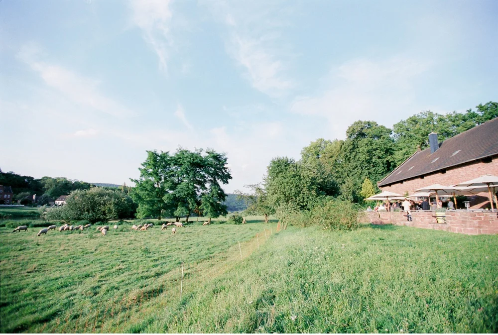 Classy_Norwegian_Wedding_WeddingPhotographer©MadalinaSheldon_0019.jpg