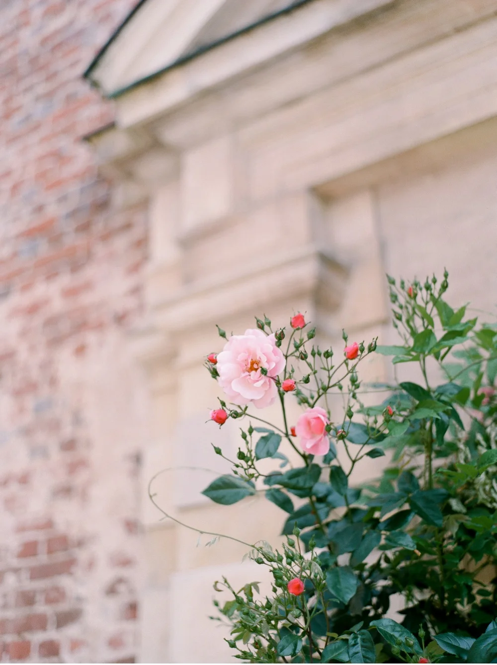 Wedding_Photographer_Tuscany©MadalinaSheldon_0012.jpg