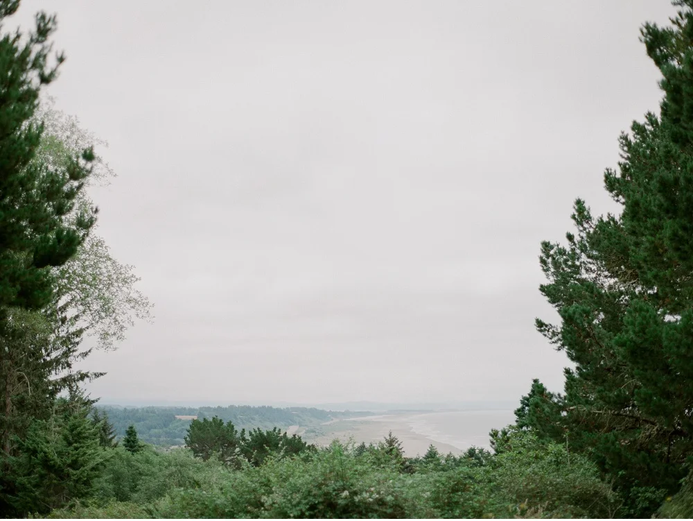 California_NapaValley_Wedding_Photographer©MadalinaSheldon_0031.jpg