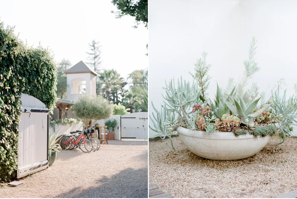 California_NapaValley_Wedding_Photographer©MadalinaSheldon_0096.jpg