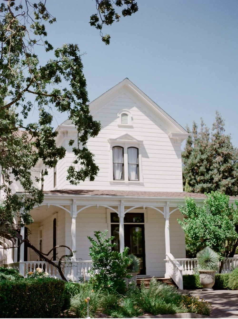 California_NapaValley_Wedding_Photographer©MadalinaSheldon_0099.jpg