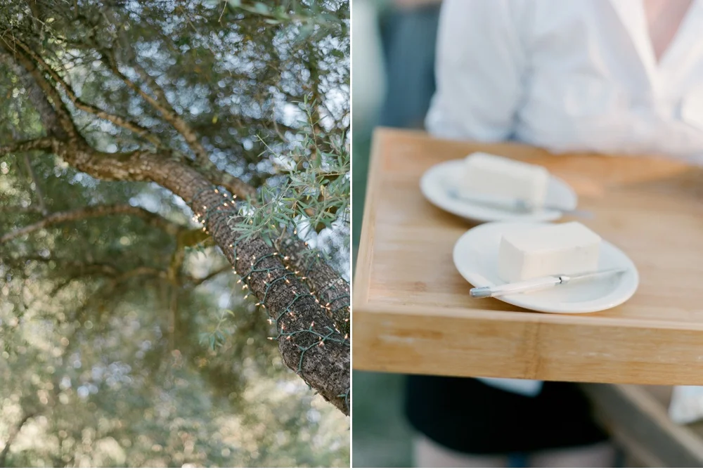 Napa_Valley_Wedding_Photographer©MadalinaSheldon_0013.jpg