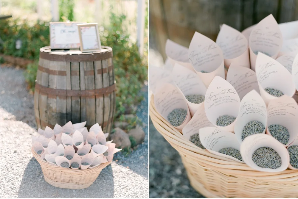 Provence_Destination_Wedding_Photographer©MadalinaSheldon_0002.jpg
