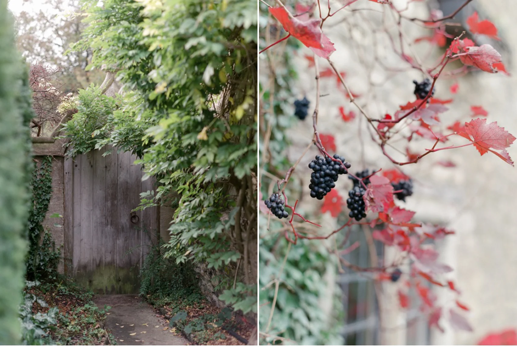 Cotswolds_WeddingPhotographer_UK©MadalinaSheldon_58.jpg