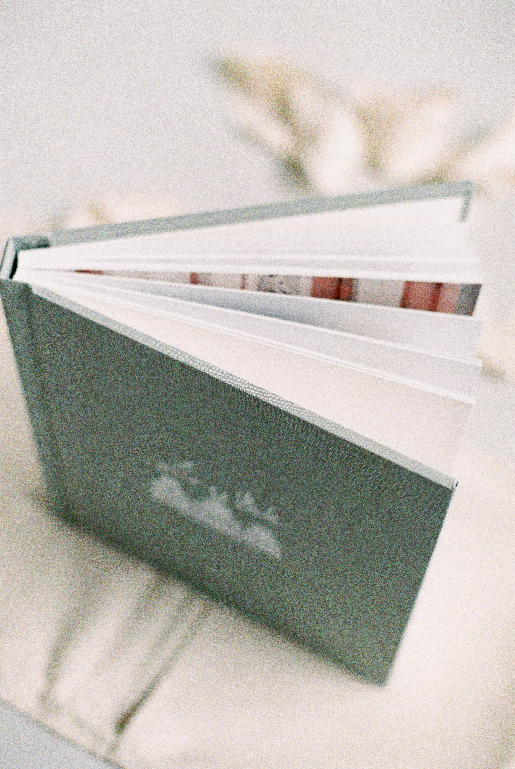 Album_-8.jpg
