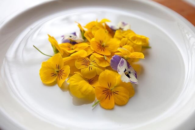 Fleurs de pens&eacute;e🌼🌸
Gout florale puissant en accompagnement des desserts et salades de fruits de ce printemps. 
Pour commander en direct de la ferme urbaine contactez nous at : Hydropousse@gmail.com 🌱