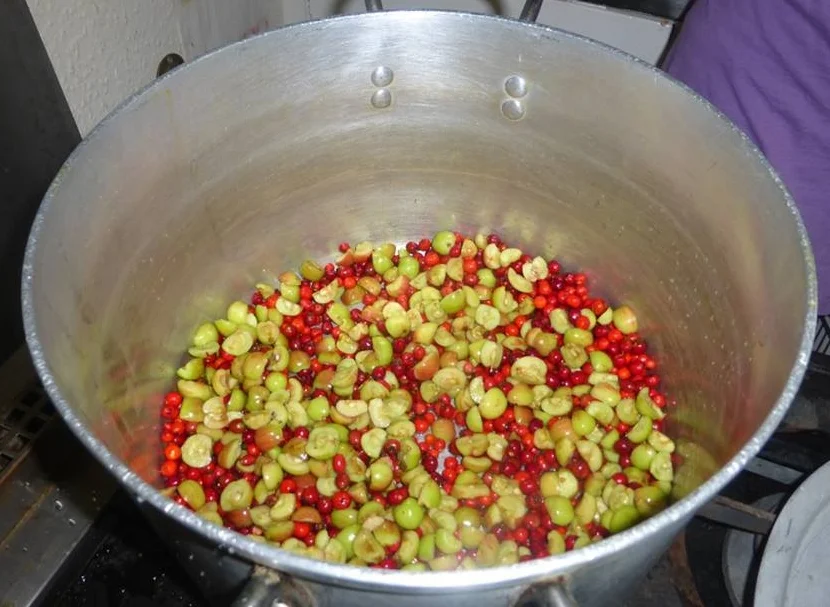 Jam making