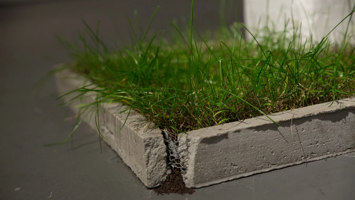 Urban Forms