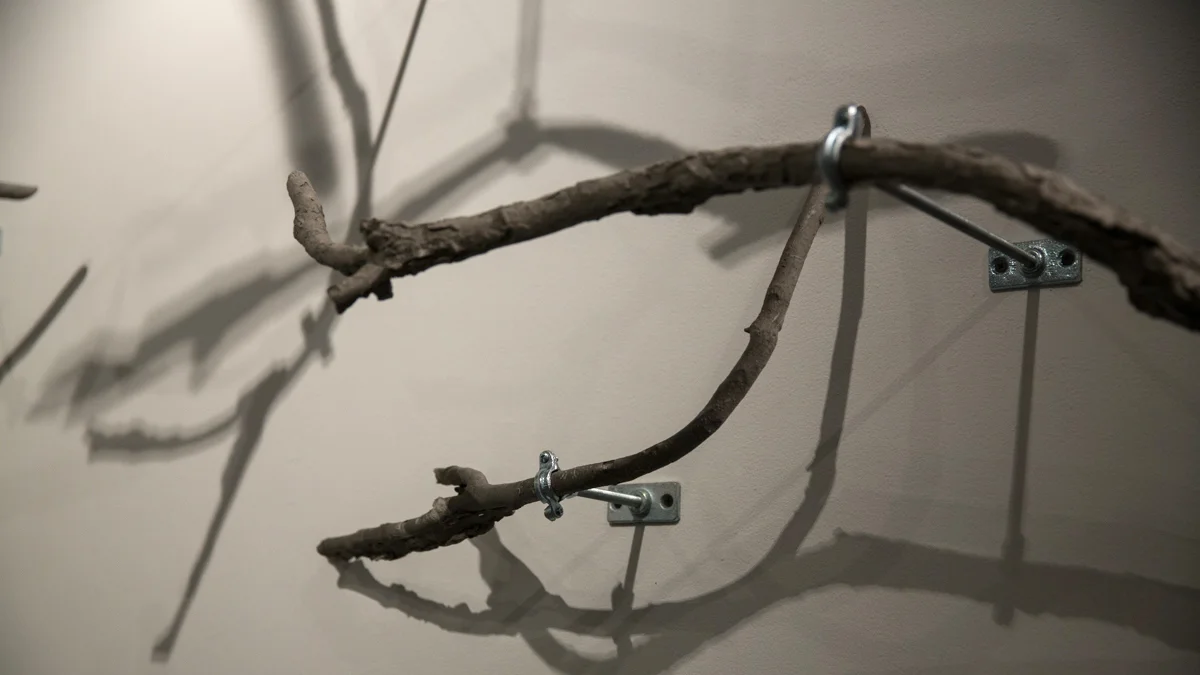 Rooted moments