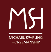 MS_LOGO_FULL_SQUARE_VECTOR_FINAL.jpg