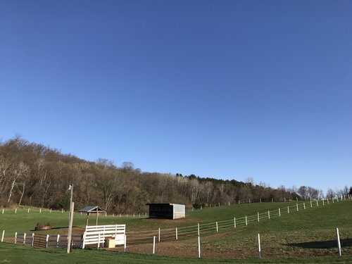 Field 2.jpeg
