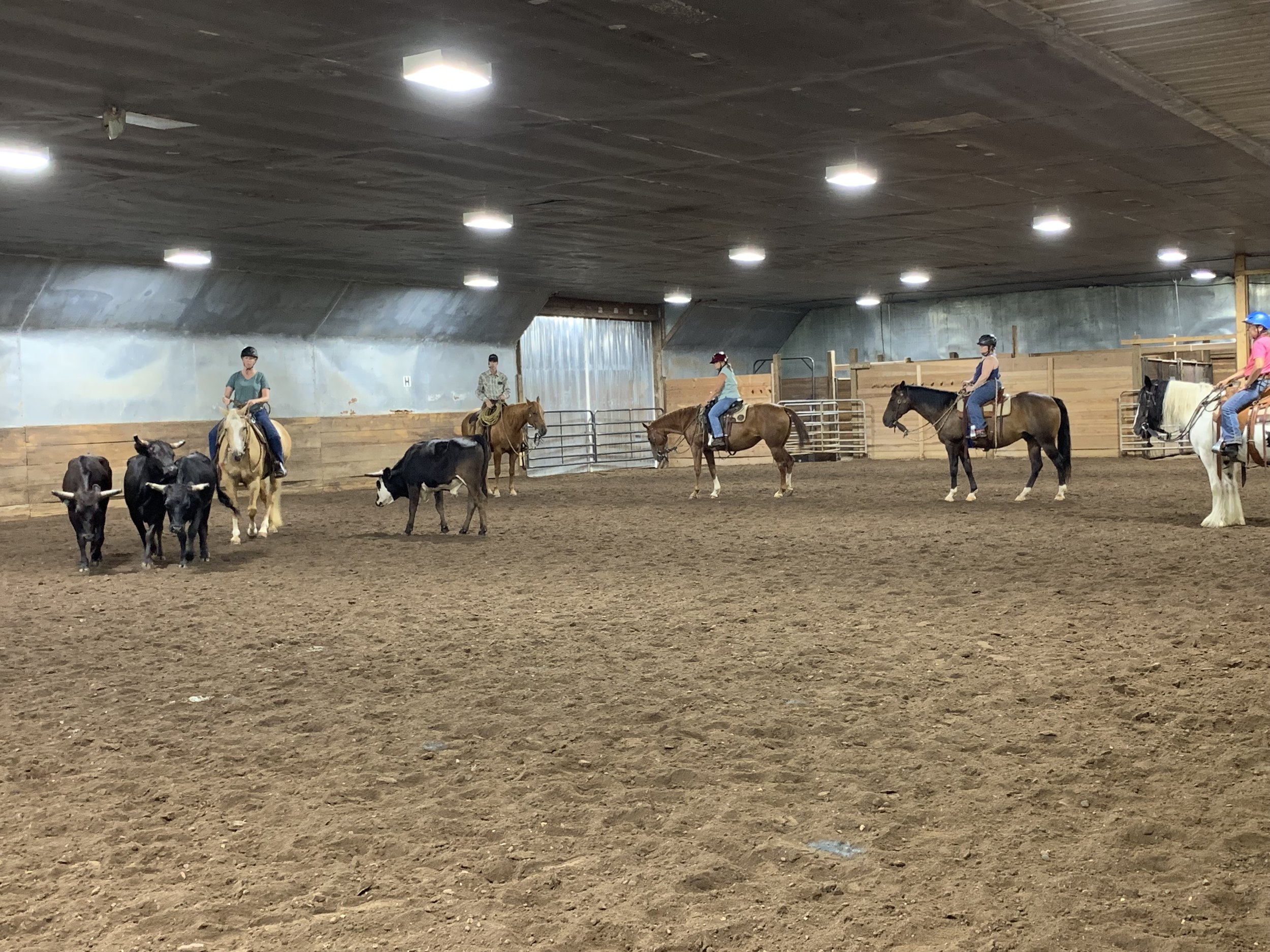 Cow Working Clinic