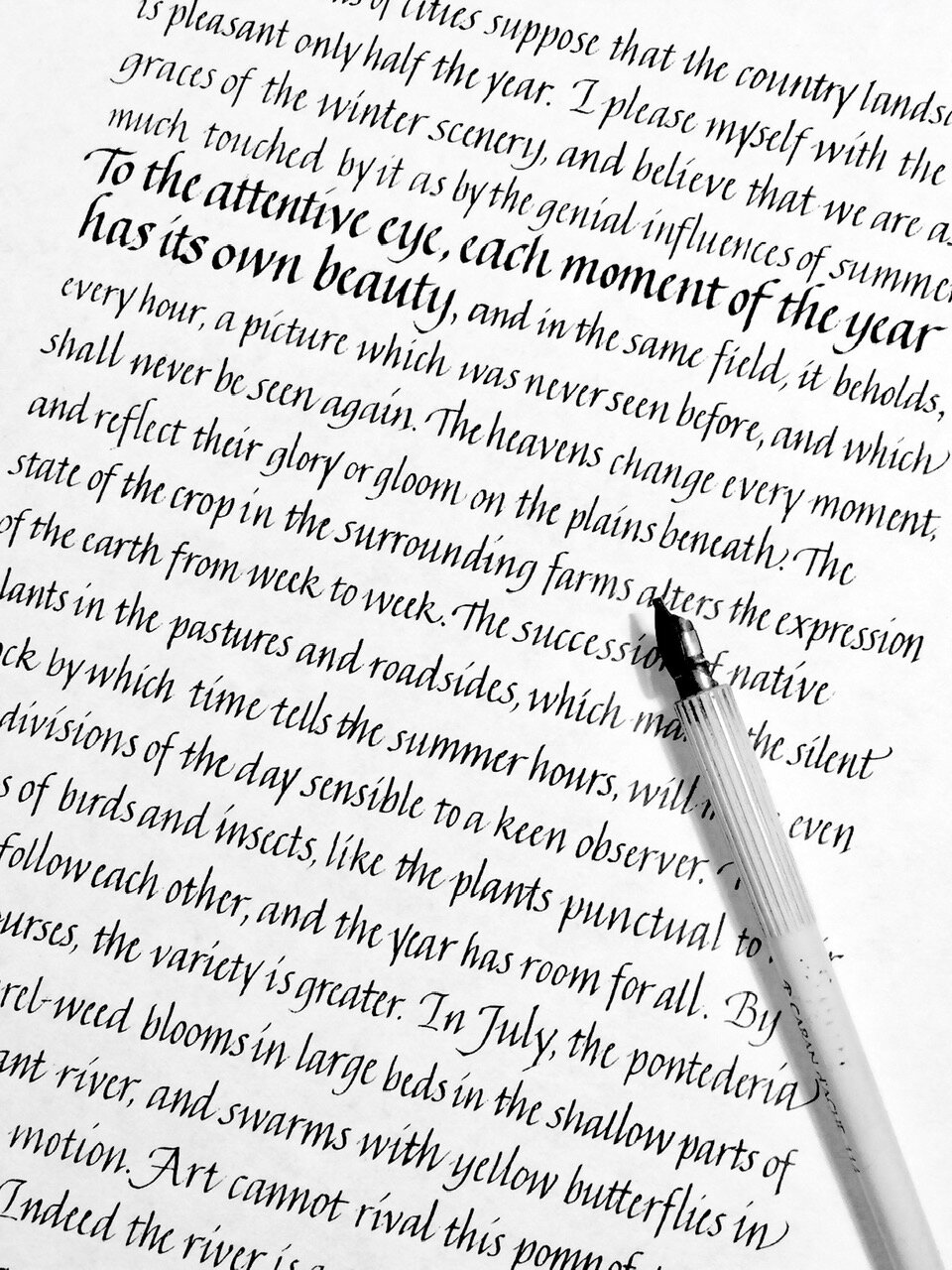 Back to the Basics: Italic Minuscules, with Pat Barrett—CANCELED