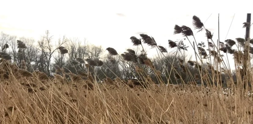 May Annual Meeting &amp; Presentation