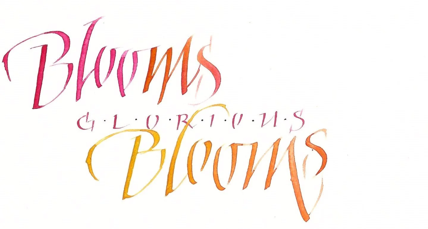 Connie F _Italic Variation Text in colour 3.jpg