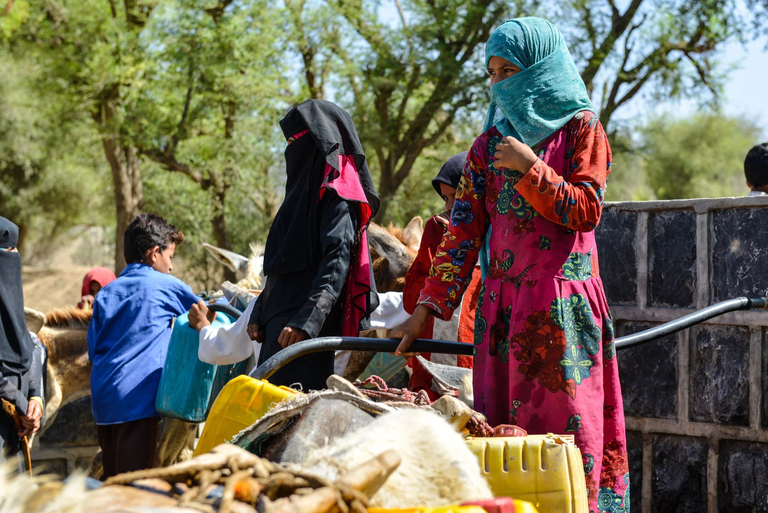 Copy of _DSC5849.JPG