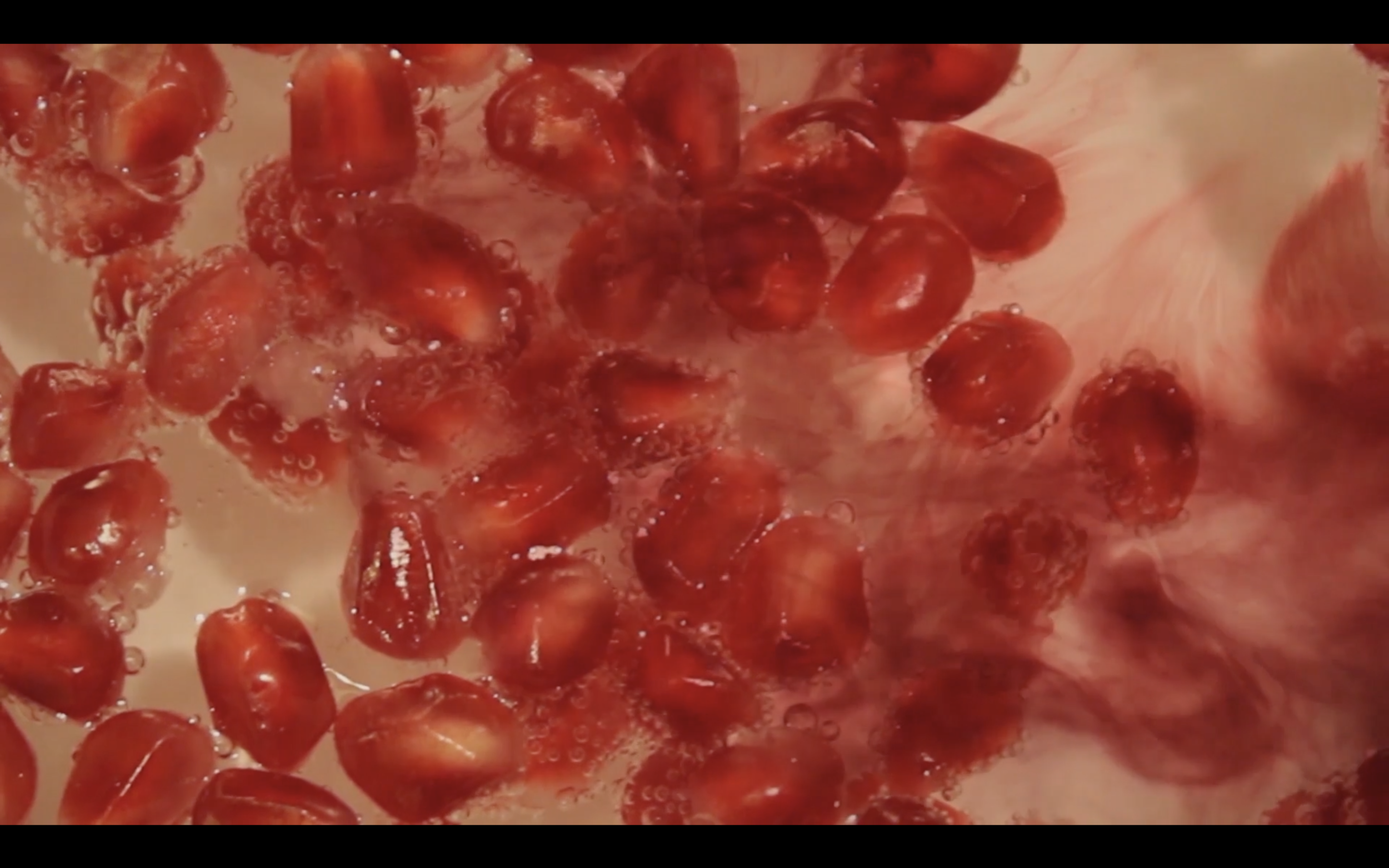 Image still from Armenian Diaspora , courtesy of Araz Farra.
