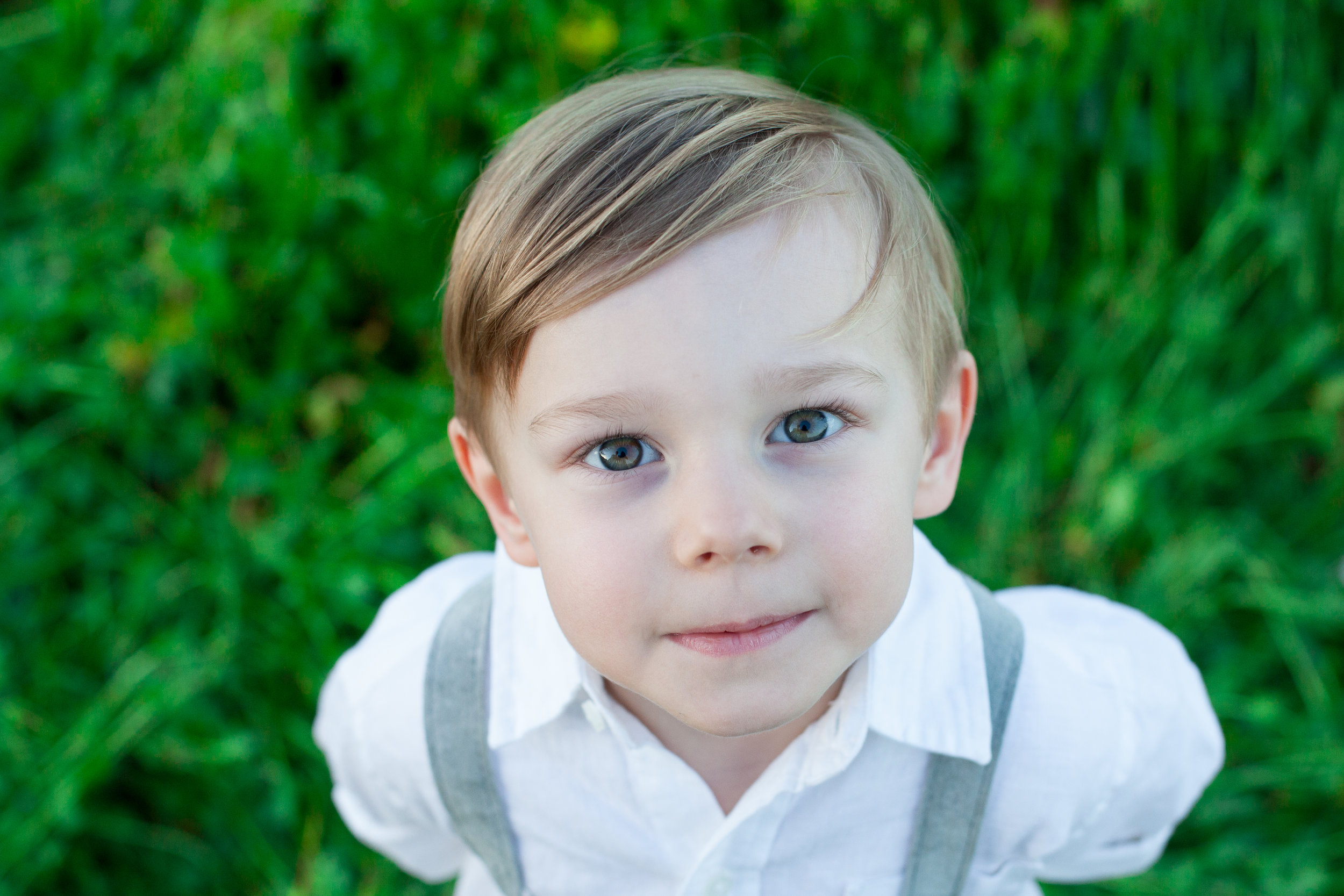 2017_03 HoningsMustard0050.jpg