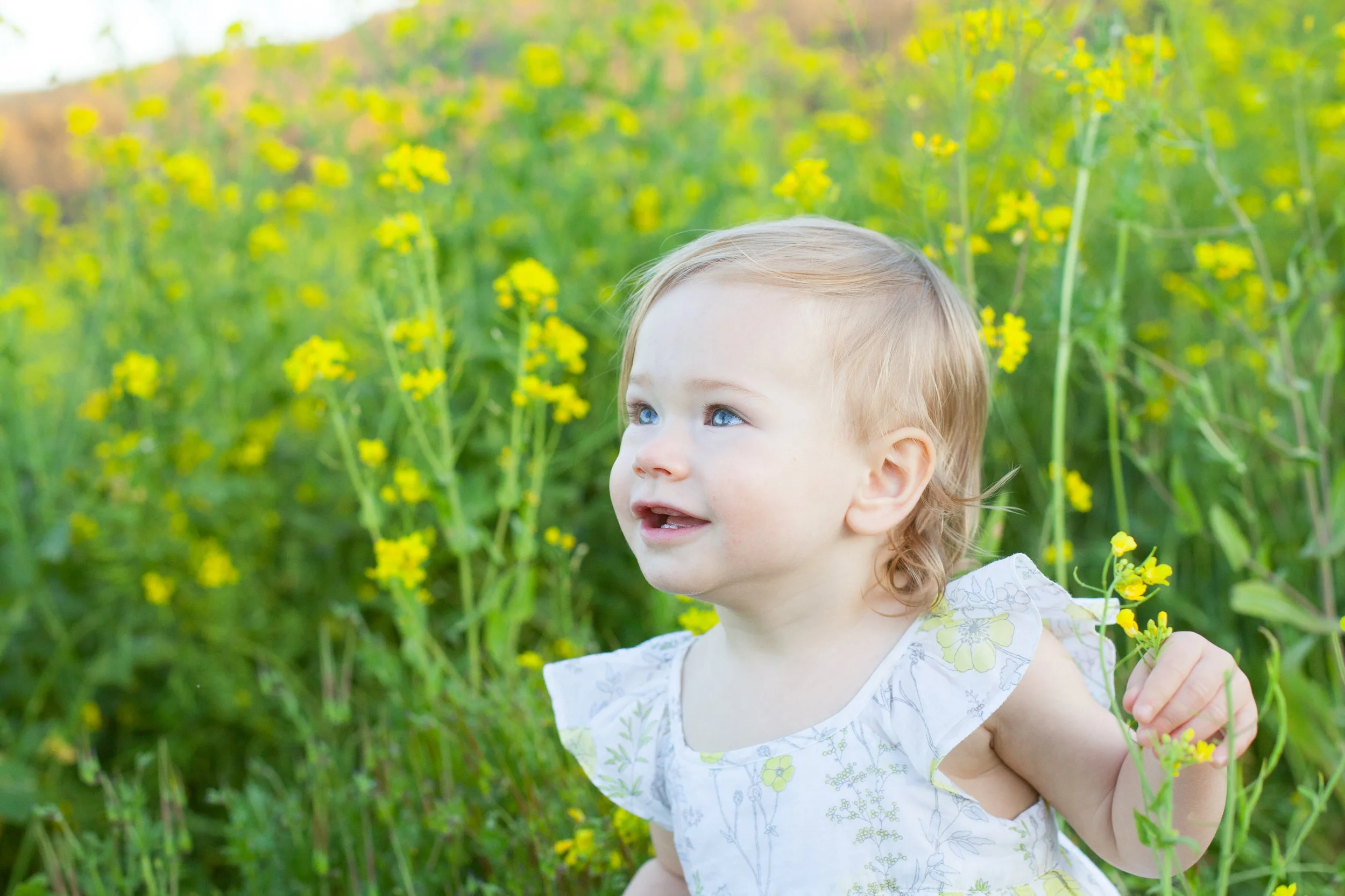 2017_03 HoningsMustard0061.jpg