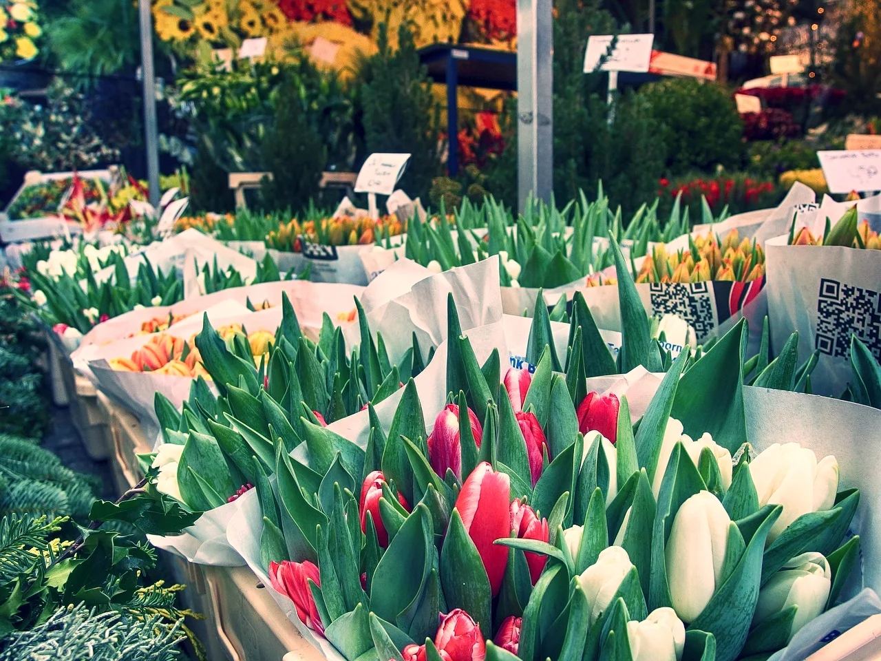 flowermarketamsterdam.jpg