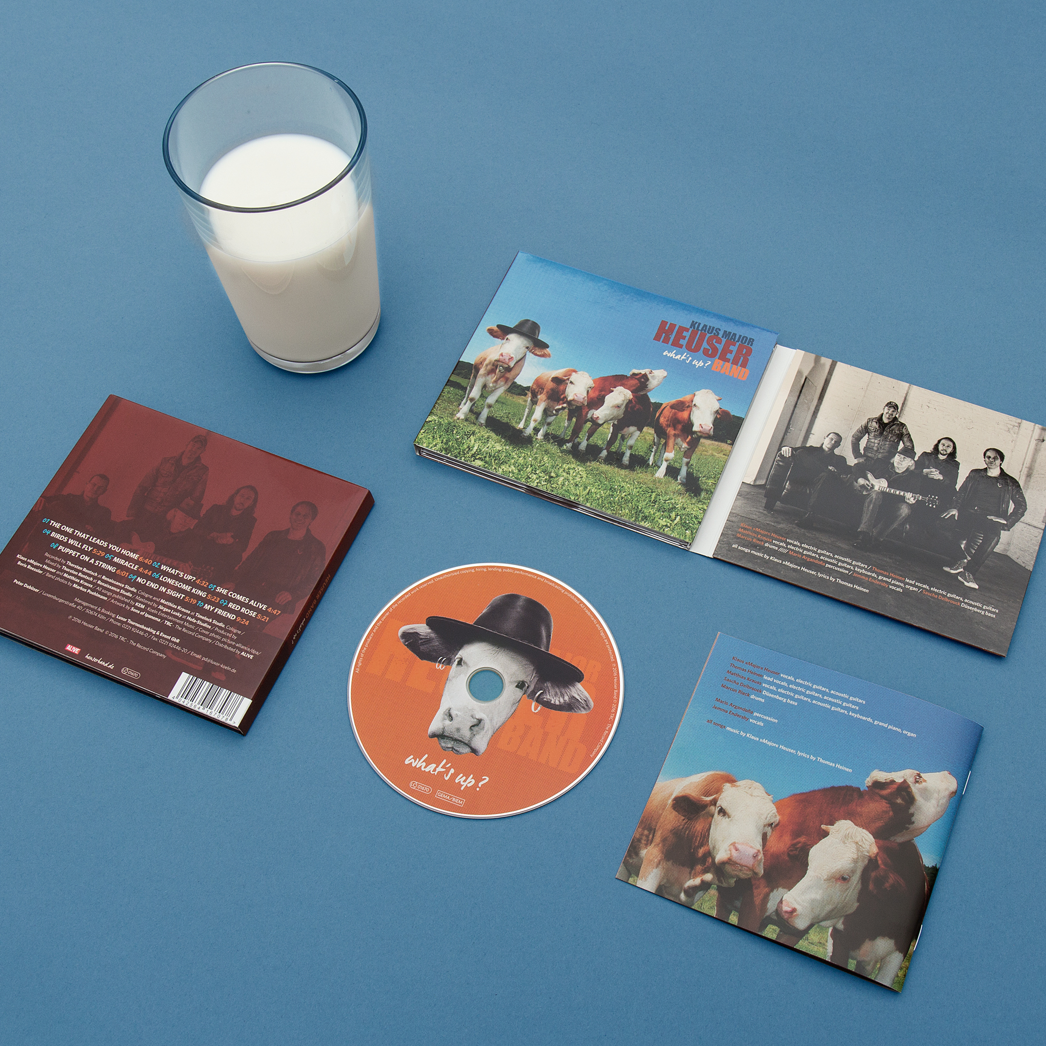 Artwork mit Kuh mit Hut für das Album "What´s up?" von der Klaus Major Heuser Band. Gestaltung von der kölner Grafik Agentur sons of ipanema.