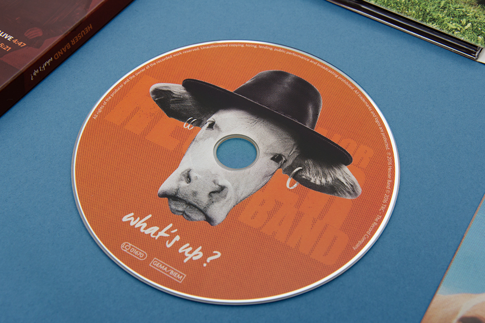 Kuh mit Hut. Gestaltung der CD von den kölner Grafikdesignern sons of ipanema für das Album What´s up von der Klaus Major Heuser Band.