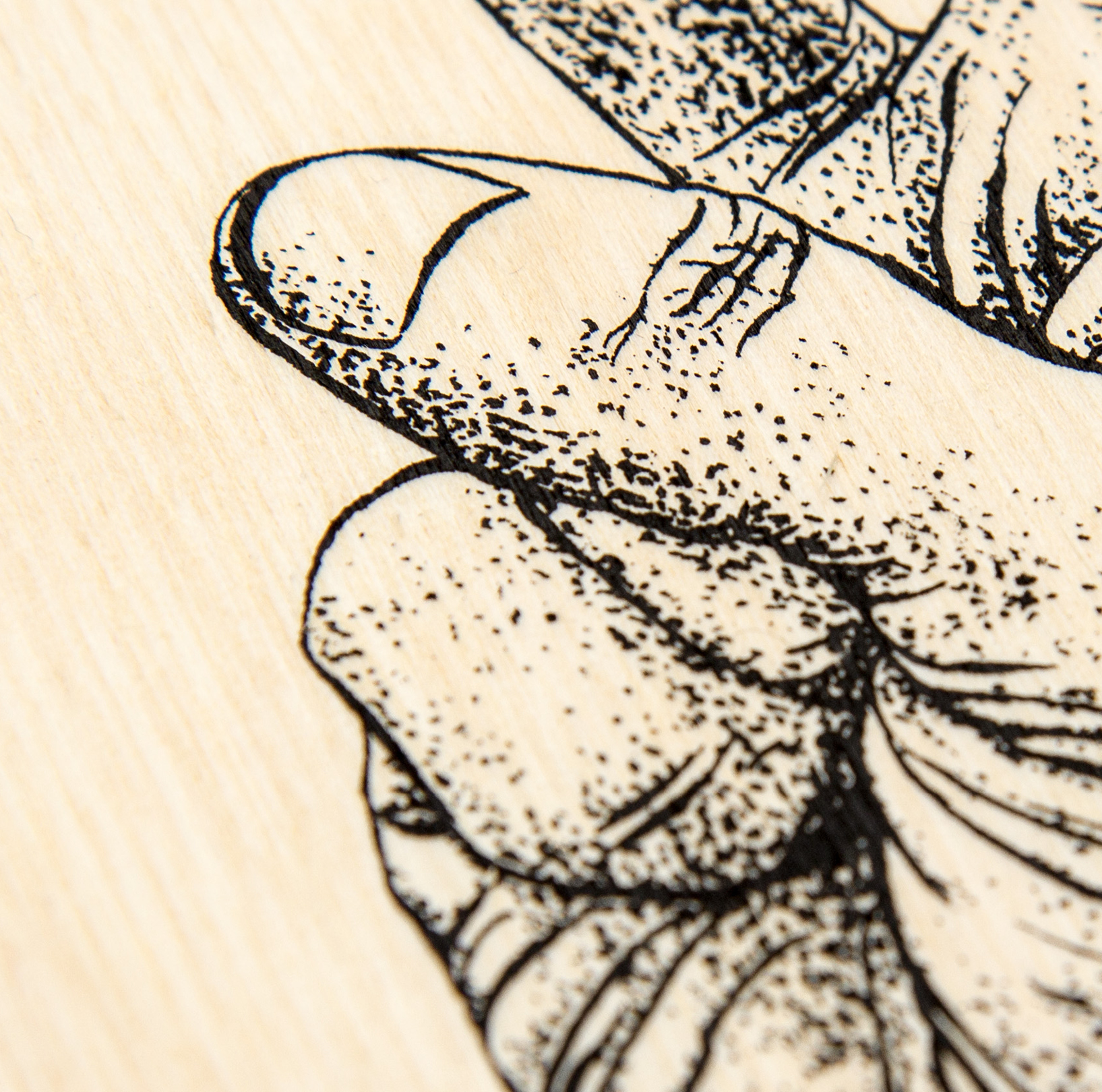 Illustration (Siebdruck auf Holz) – für OK KID von den sons of ipanema