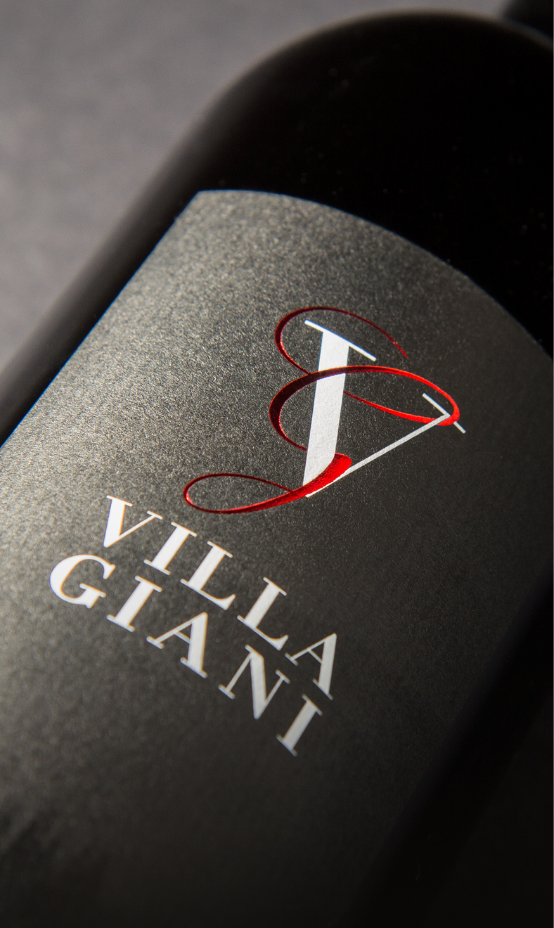 Logogestaltung für Vill Giani, eine Villa in der italienischen Toskana, die auch eigene Produkte wie Rotwein, Honig und Olivenöl herstellt