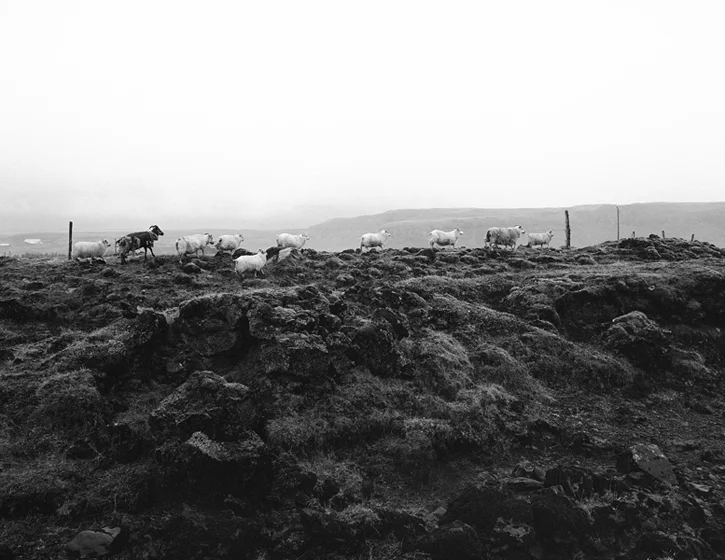 27_iceland030.jpg