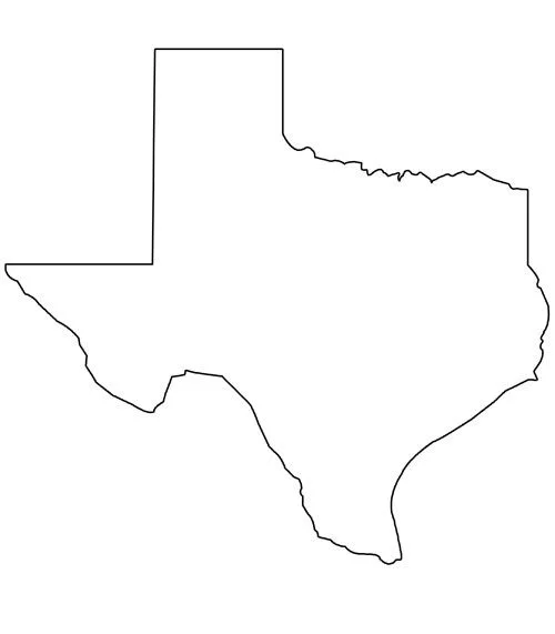 Blogger Uses Texas Free Speech Law To Nix Defamation Row