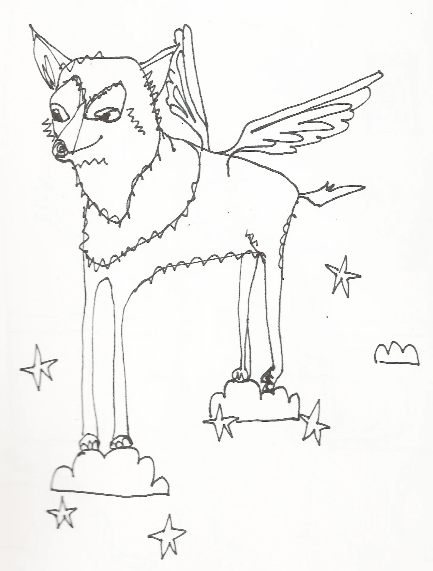 flying fox.jpeg