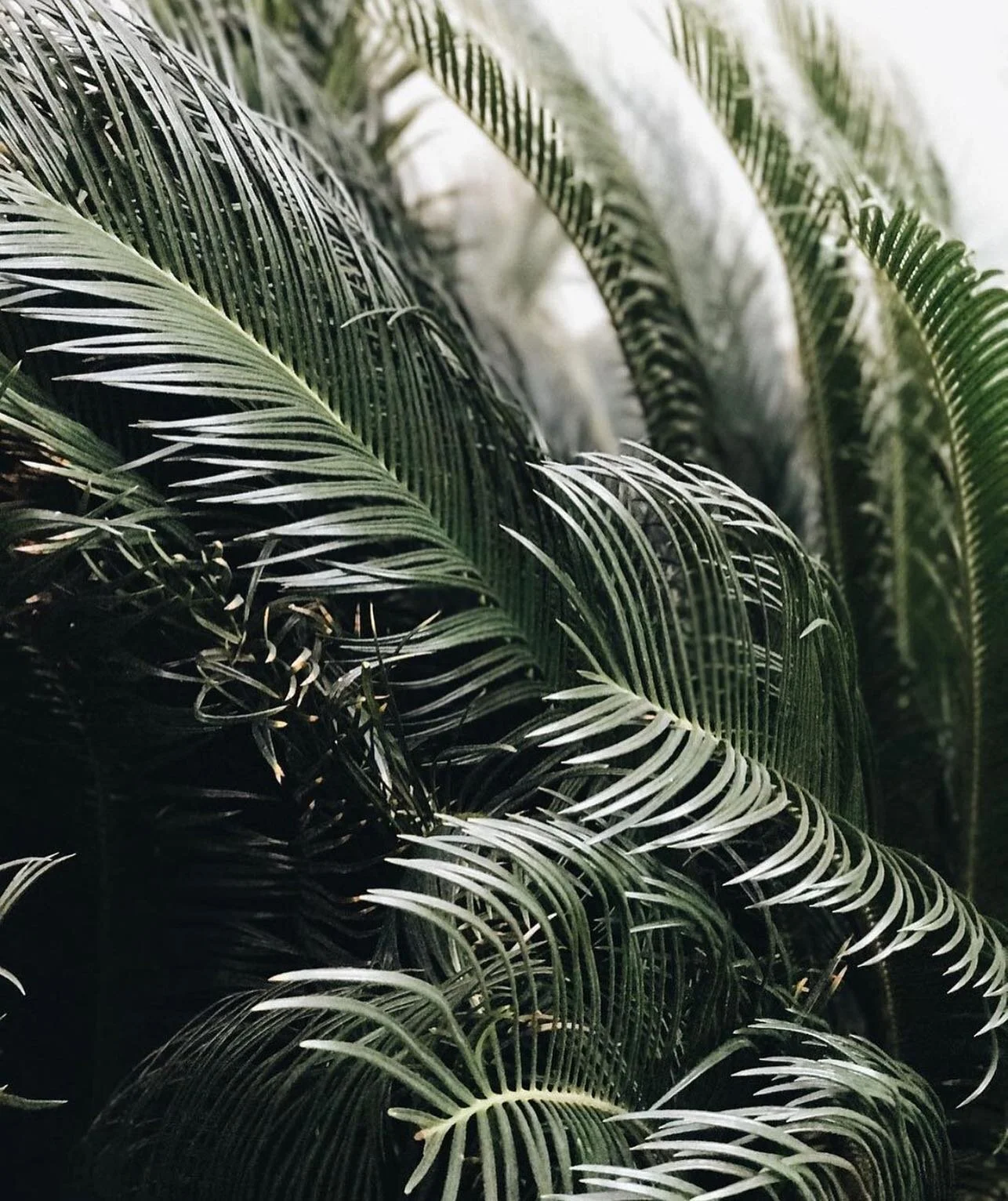 Working in a volatile work environment can sometimes feel like a tropical storm 🏝 
⠀⠀⠀⠀⠀⠀⠀⠀⠀
On the one hand, it&rsquo;s thrilling. Always something new, changing, evolving, and moving forward. On the other hand, the lack of predictability can cause