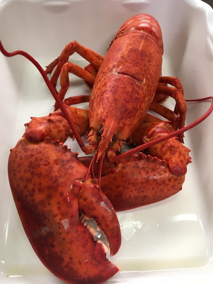 Braun Seafood